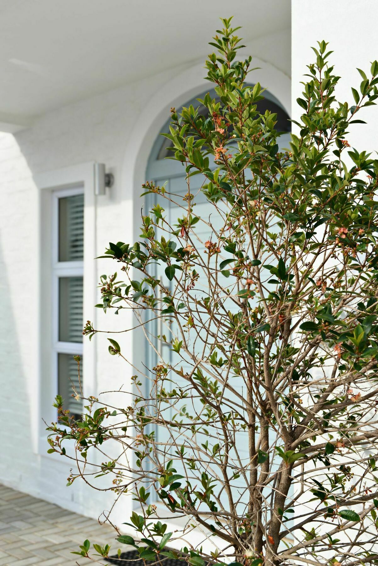 The Gables Hermanus Exterior foto